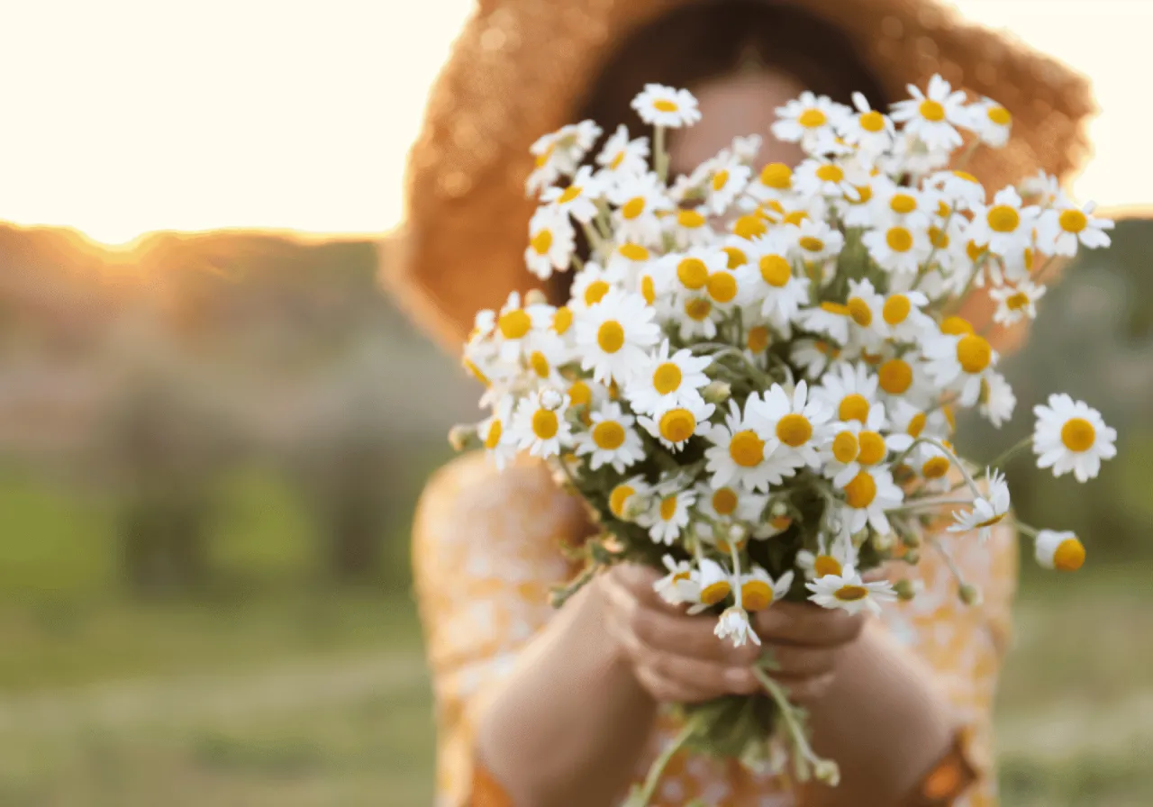 alergia na rumianek, objawy uczulenia