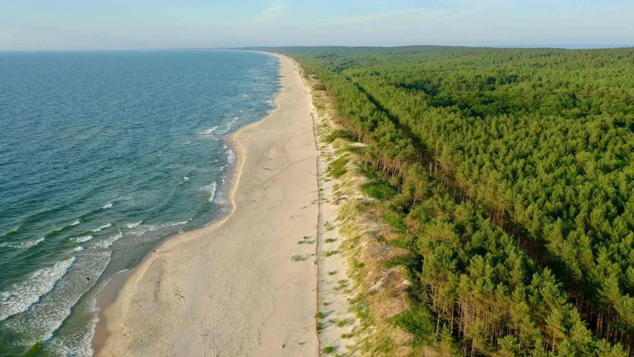 Piękna plaża i las sosnowy. Czy nad każdym morzem jest jod? Tutaj na pewno tak, powietrze jest rześkie i czyste.