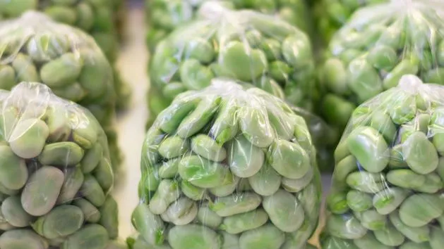 r&oacute;żnice b&oacute;b polski importowany