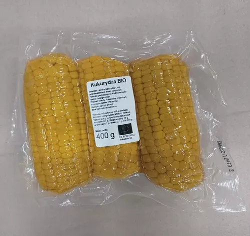 świeża kukurydza cukrowa w kolbach