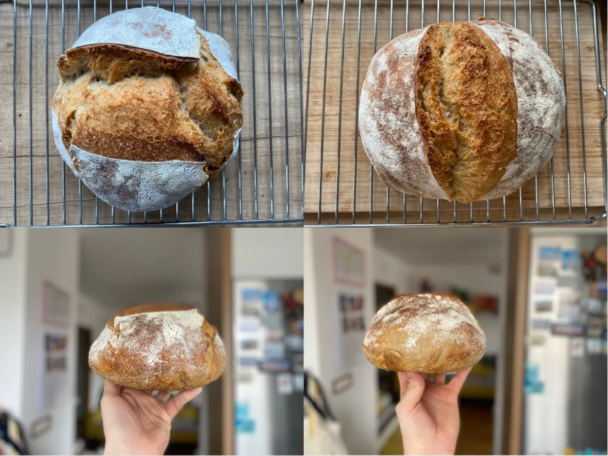 Hydracja ciasta chlebowego