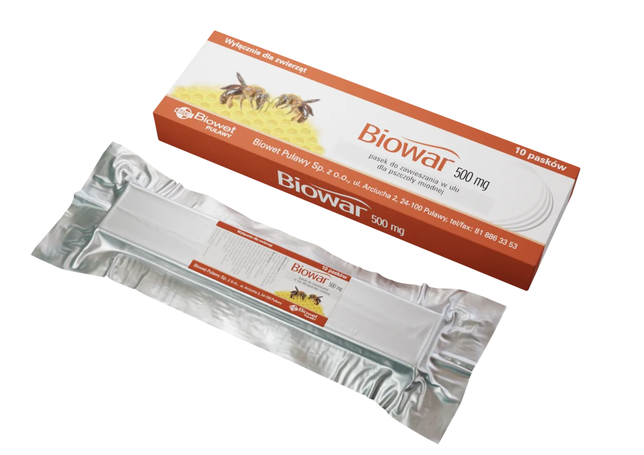 Lekarz weterynarii bada pszczoły