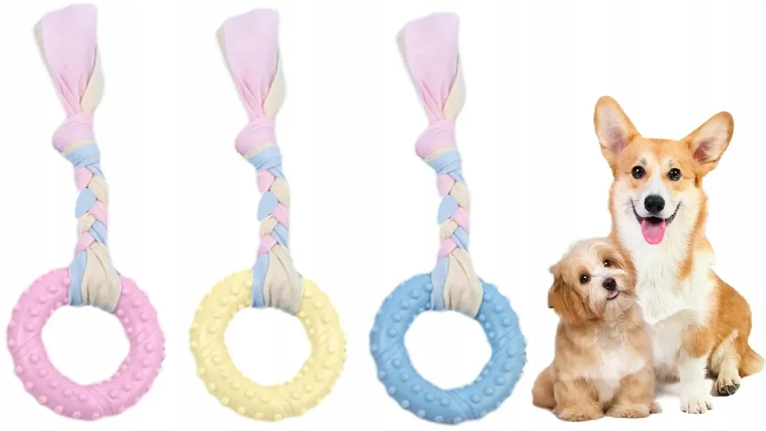 różne rodzaje gryzaków dla szczeniaka, bezpieczne zabawki do gryzienia dla psa