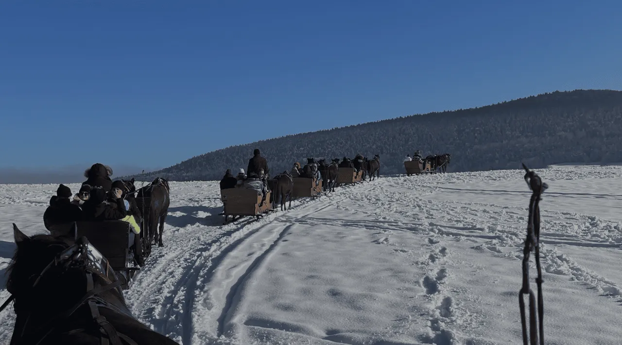 Stadnina Koni Botoja widok z góry Korzkiew