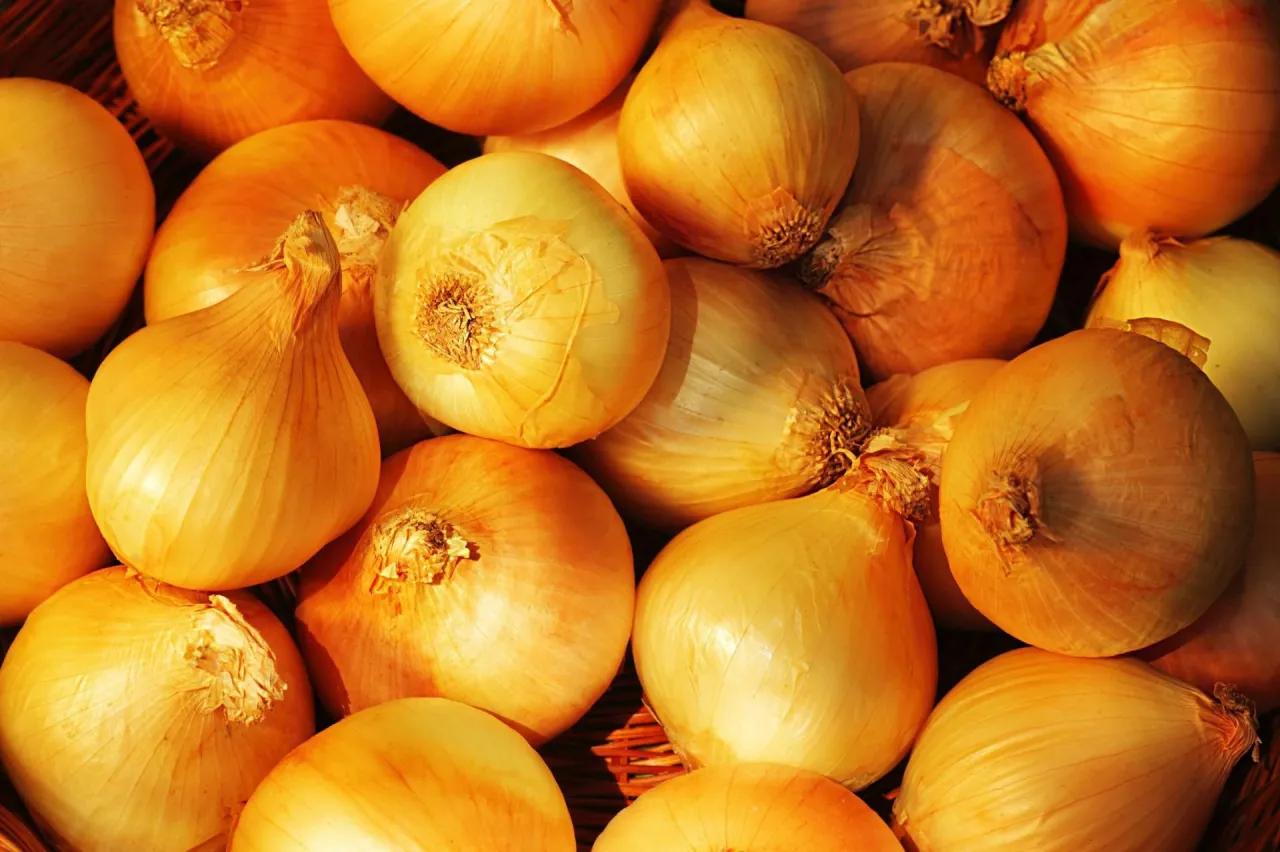 Mn&oacute;stwo ż&oacute;łtych cebul w koszyku. Czy potrafisz odgadnąć, ile ich jest? To prawdziwa zagadka o cebuli!