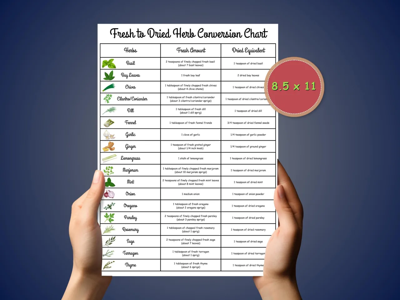 tabela przelicznik&oacute;w zi&oacute;ł suszonych świeżych