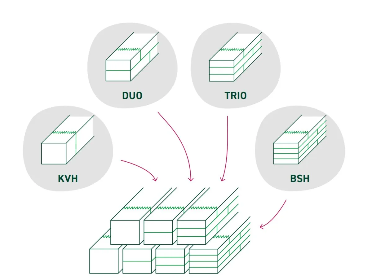porównanie drewna konstrukcyjnego C24 KVH BSH