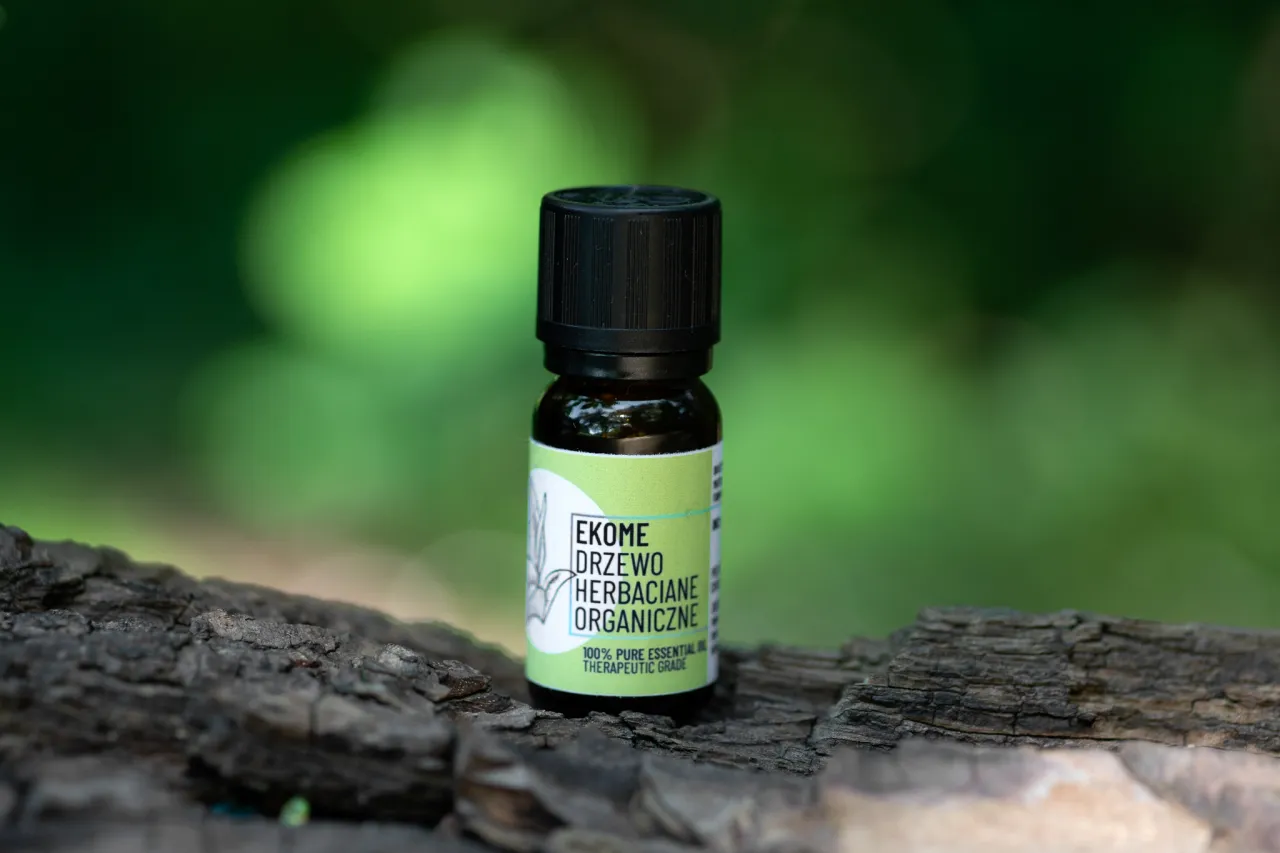 Przeciwwskazania olejek drzewa herbacianego