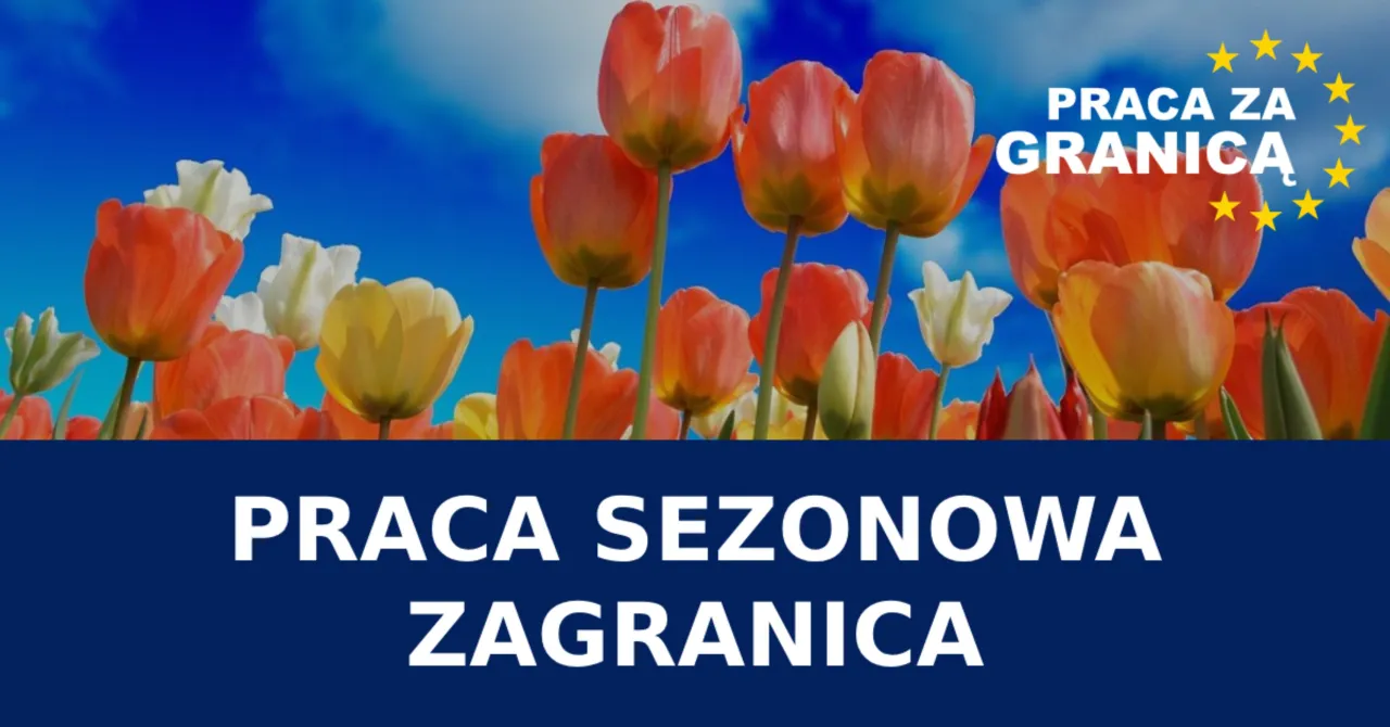rodzaje pracy sezonowej za granicą