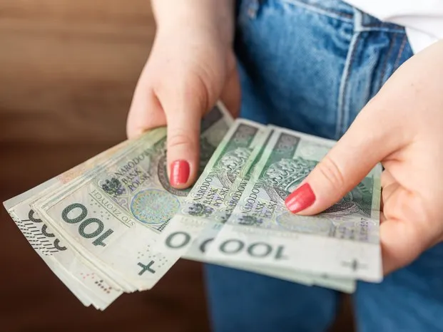 rodzinny budżet pieniądze 800 plus