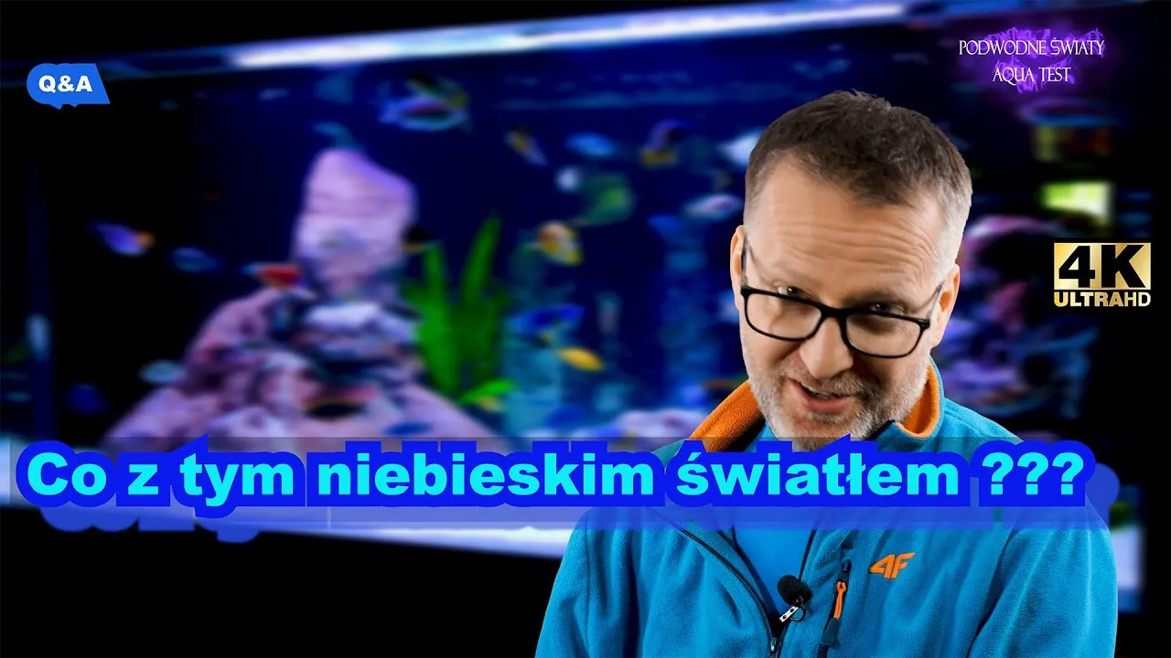 Zdjęcie Co daje niebieskie światło w akwarium? Odkryj jego korzyści dla ryb i roślin