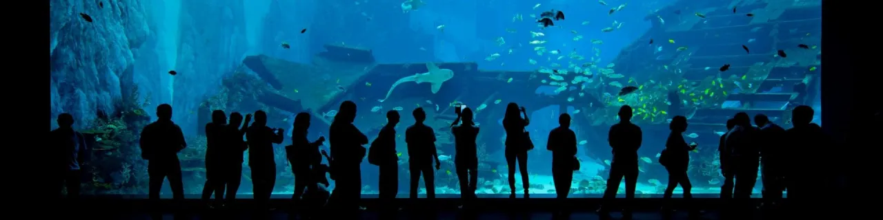 Zdjęcie Godziny otwarcia oceanarium w Ustce - nie przegap wizyty!