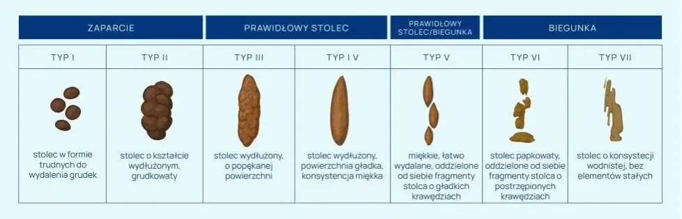 Zdjęcie Badanie kału u dziecka - co wykrywa i dlaczego jest ważne dla zdrowia