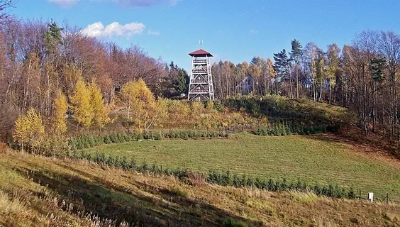 Zdjęcie Najlepsze atrakcje w Tuchowie, które musisz zobaczyć i doświadczyć