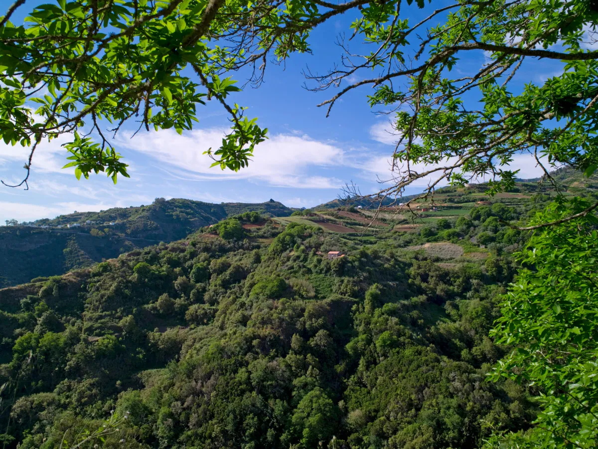 Zdjęcie Qué visitar en Gran Canaria: Descubre su "continente en miniatura"