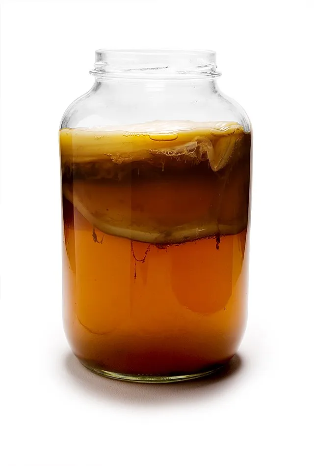 Zdjęcie Kombucha skąd pochodzi? Odkryj jej fascynującą historię i korzenie