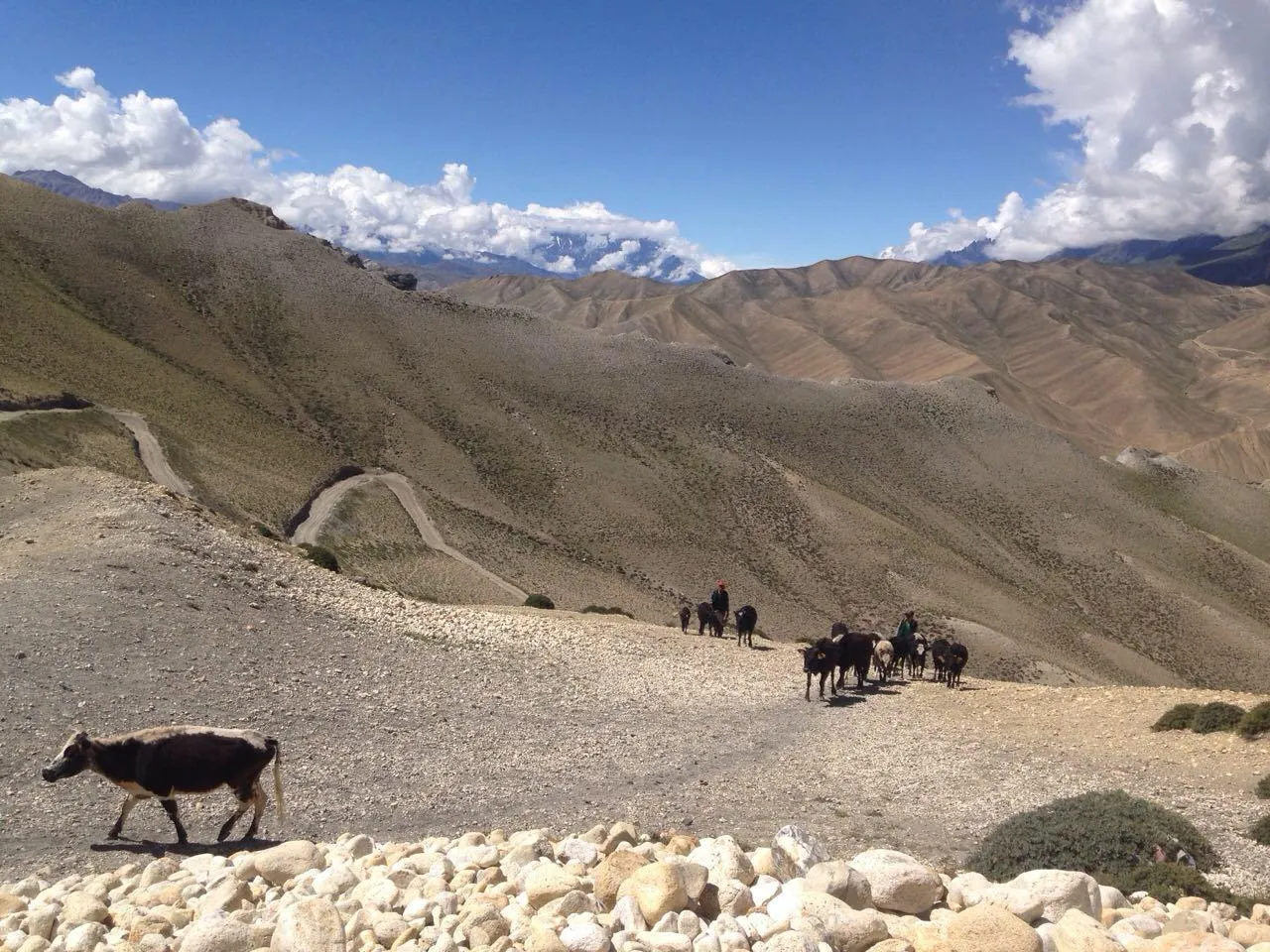 Zdjęcie Nepal kiedy jechać: odkryj najlepsze miesiące na trekking i przygodę