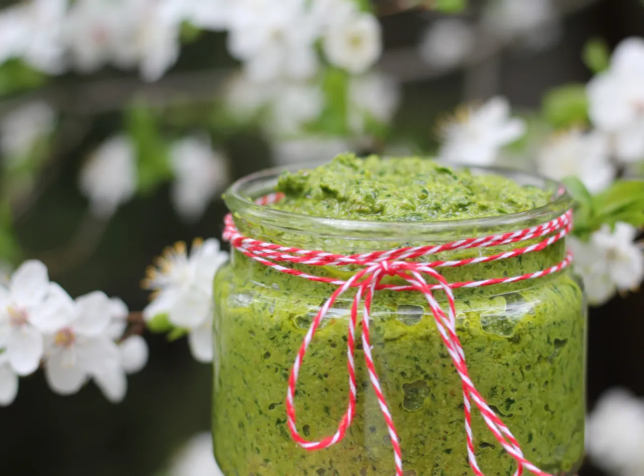 Zdjęcie Pesto z czosnku niedźwiedziego jak zrobić – prosty przepis na smaczny sos