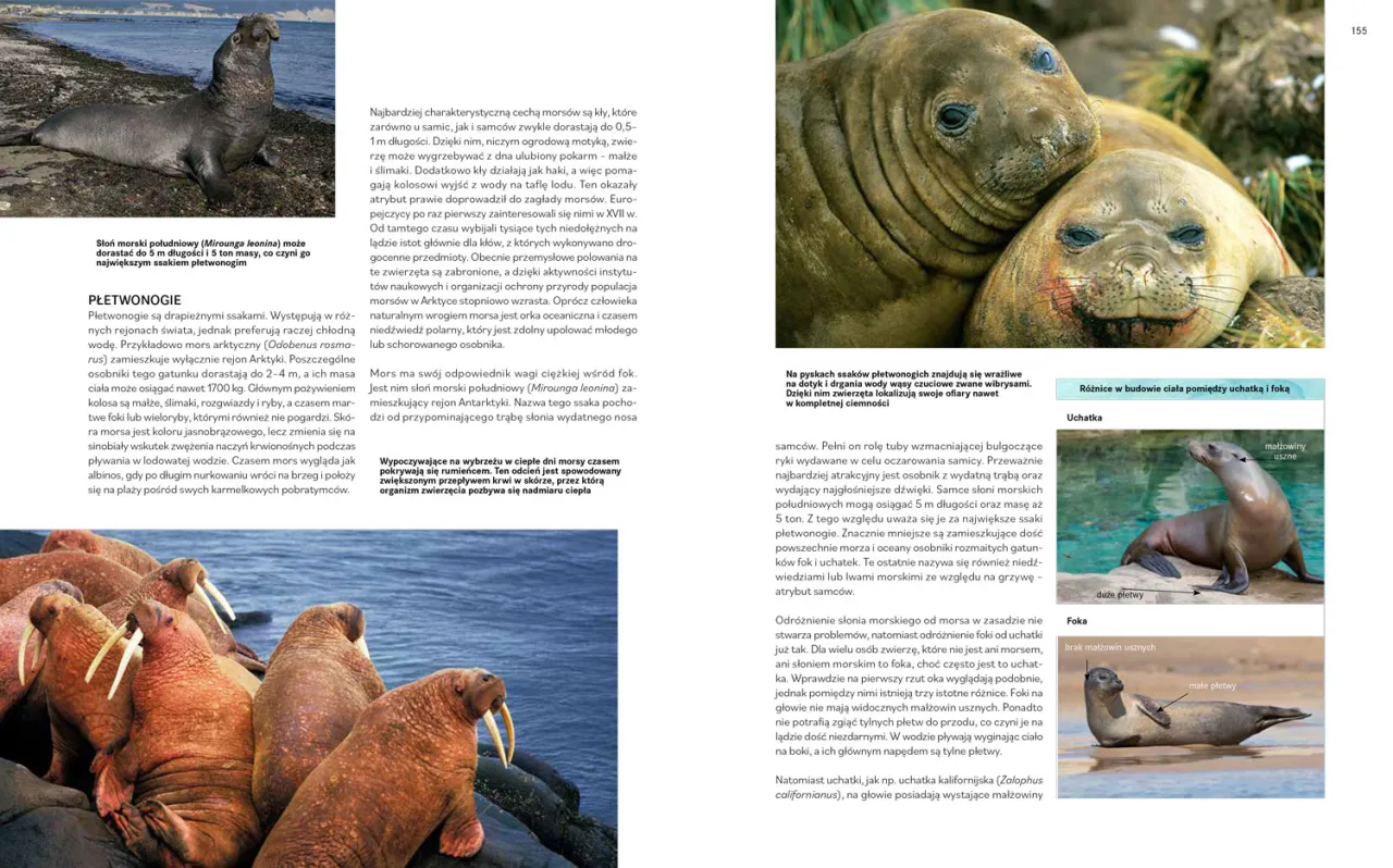 Zdjęcie Oceanarium Sopot - Fascynujące życie morskie i edukacja dla każdego