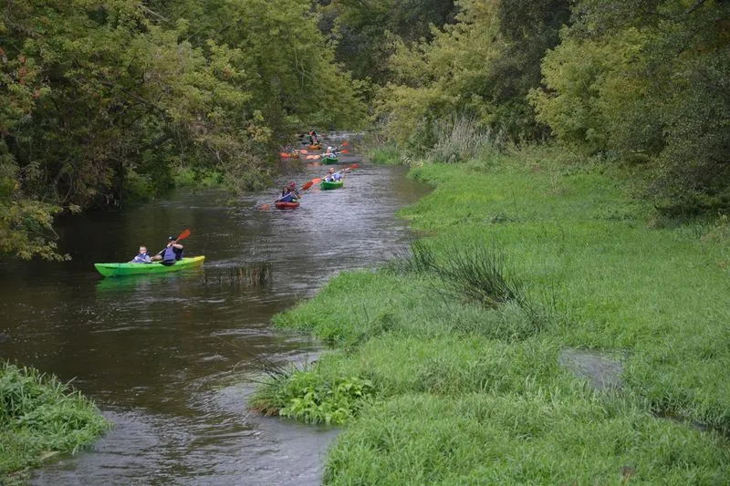 Zdjęcie Jakie rzeki płyną przez Łódź? Odkryj najważniejsze z nich