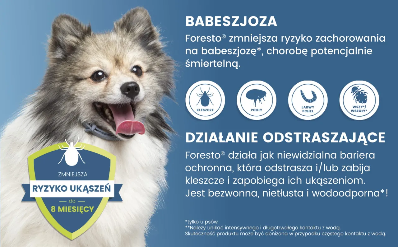 Zdjęcie Najlepsza obroża na kleszcze - skuteczna ochrona dla Twojego pupila