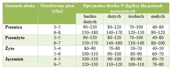 Zdjęcie Jaki nawóz na wiosnę na pszenicę, aby uzyskać najwyższe plony?