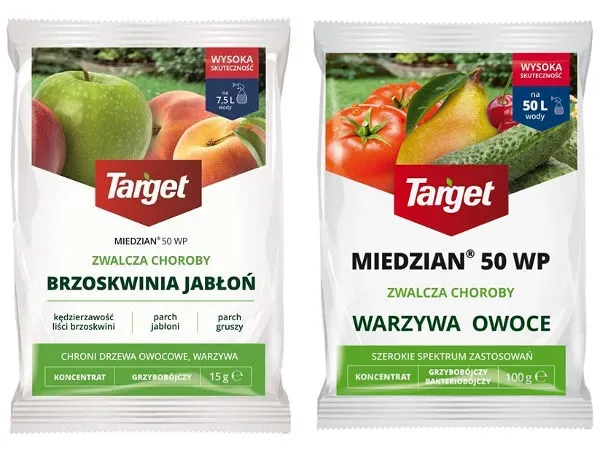 Zdjęcie Kiedy opryskiwać ogórki miedzianem? Kluczowe terminy i zasady stosowania