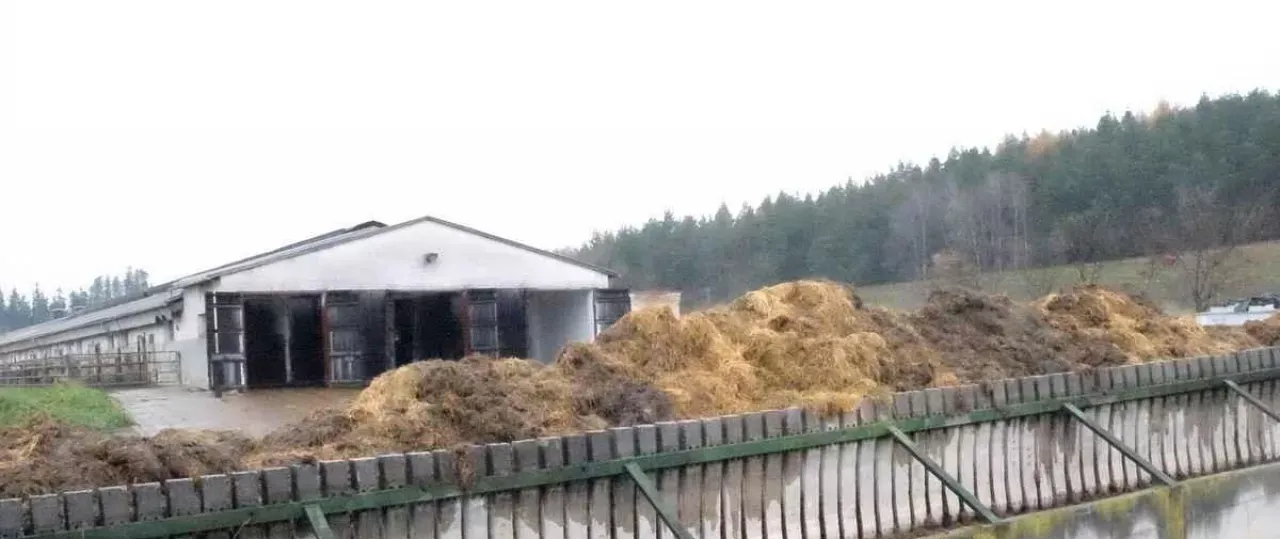 Zdjęcie Ile kosztuje budowa płyty obornikowej? Zaskakujące ceny i dofinansowanie.