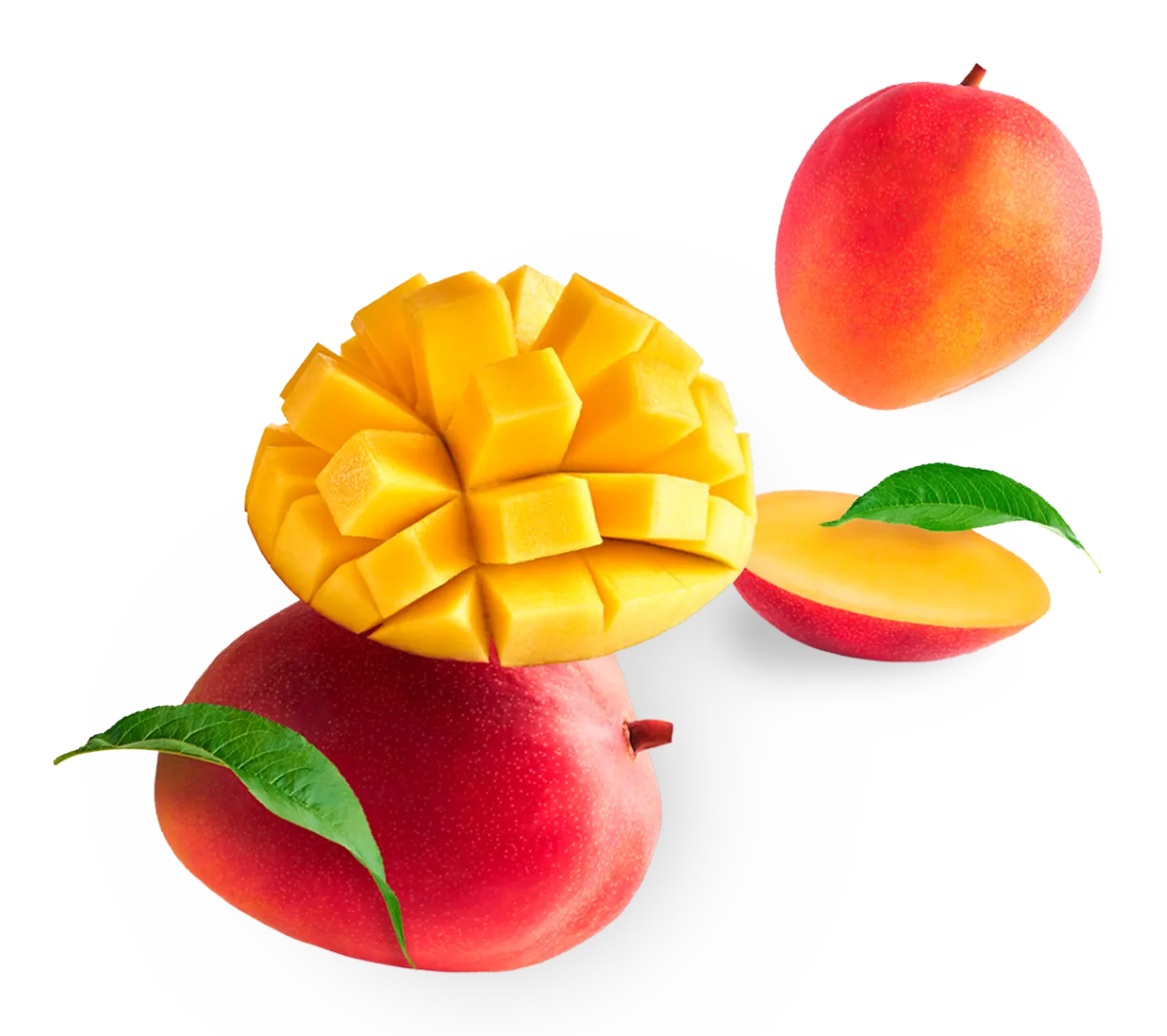 Zdjęcie Poznaj wszystkie miejsca gdzie rośnie mango - lista najpopularniejszych regionów