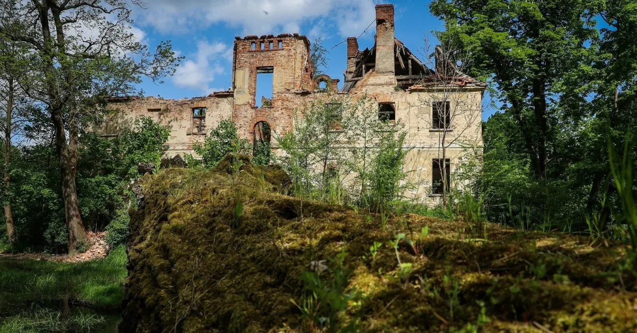 Zdjęcie Stary Dworek - ukryta perełka Lubuskiego z fascynującą historią
