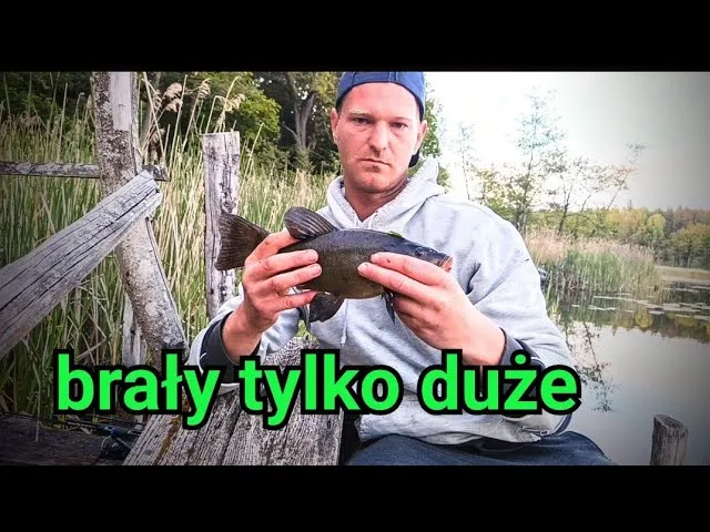 Zdjęcie Najlepsza przynęta na lina - skuteczne opcje, które przyciągną ryby