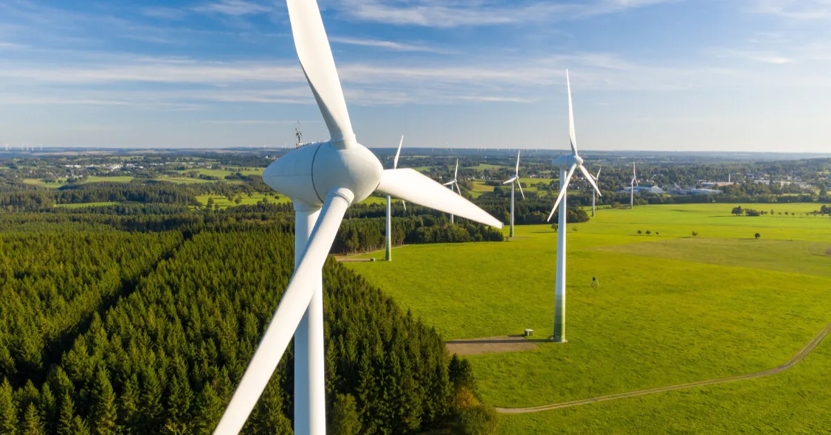 Zdjęcie Czy elektrownie wiatrowe są ekologiczne? Odkryj ich ciemne strony