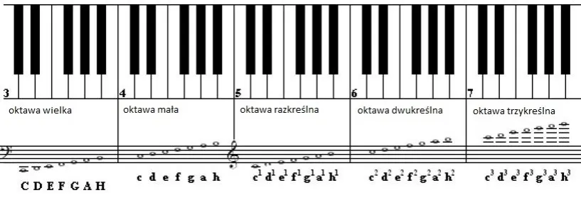 Zdjęcie Ile oktaw ma pianino: poznaj pełen zakres brzmienia instrumentu