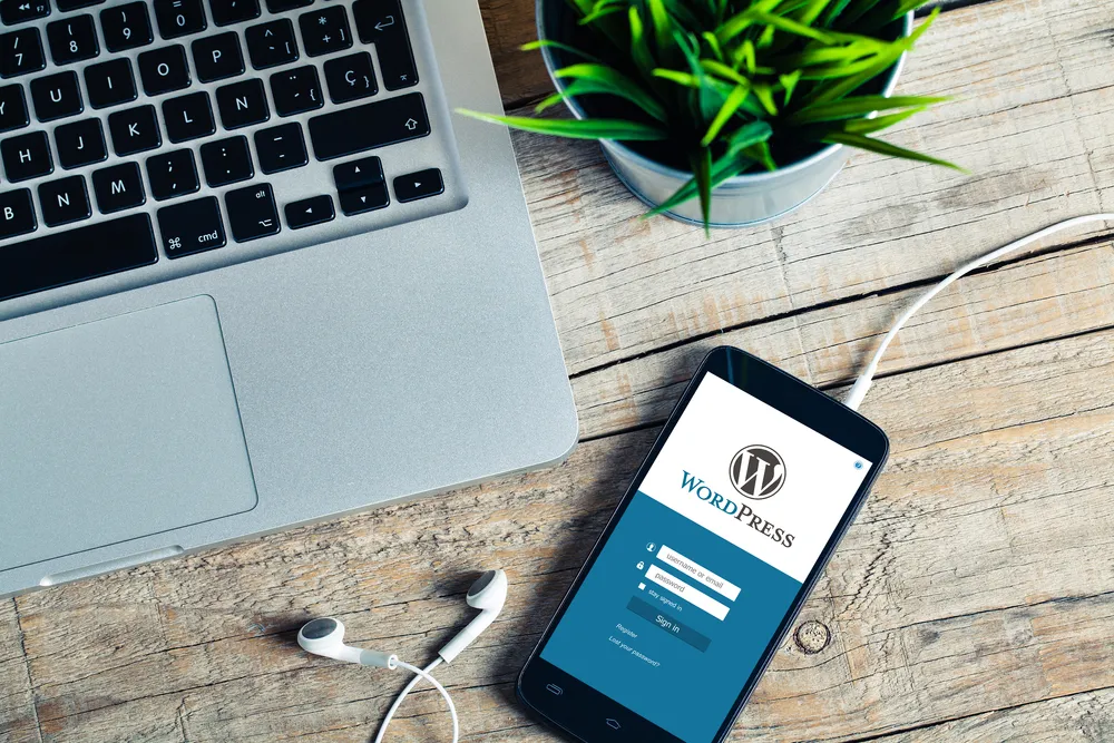 Zdjęcie Jak przenieść stronę WordPress na inną domenę bez utraty danych