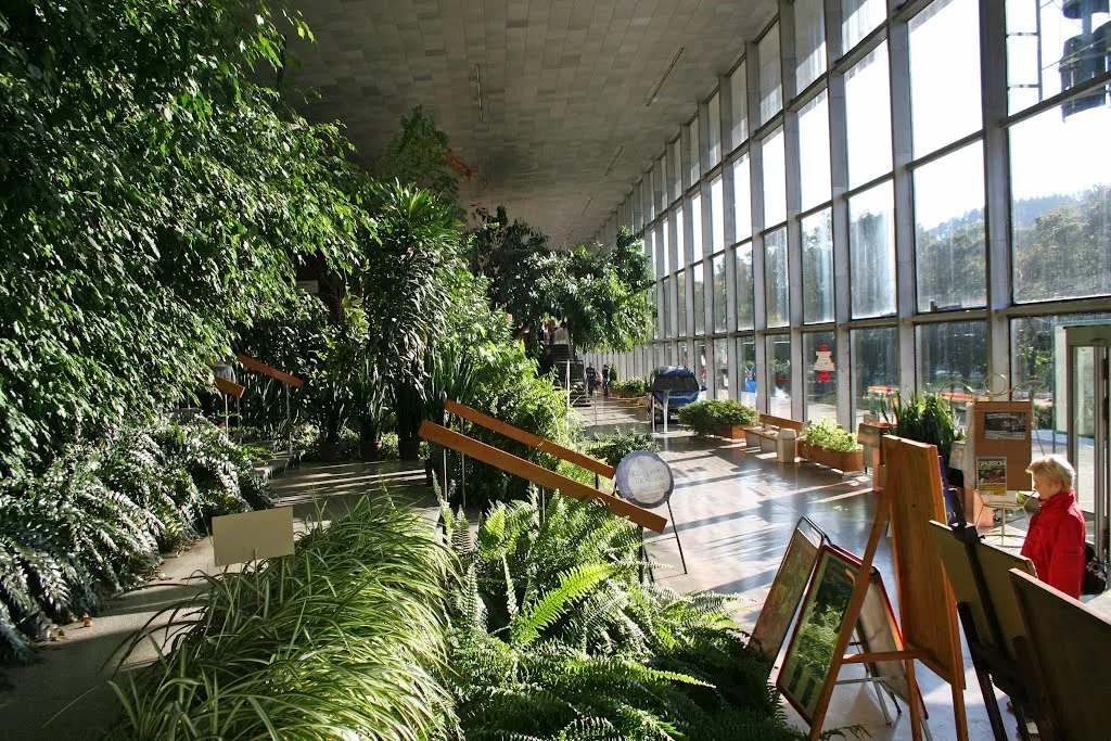 Pijalnia Główna Krynica-Zdrój wnętrze