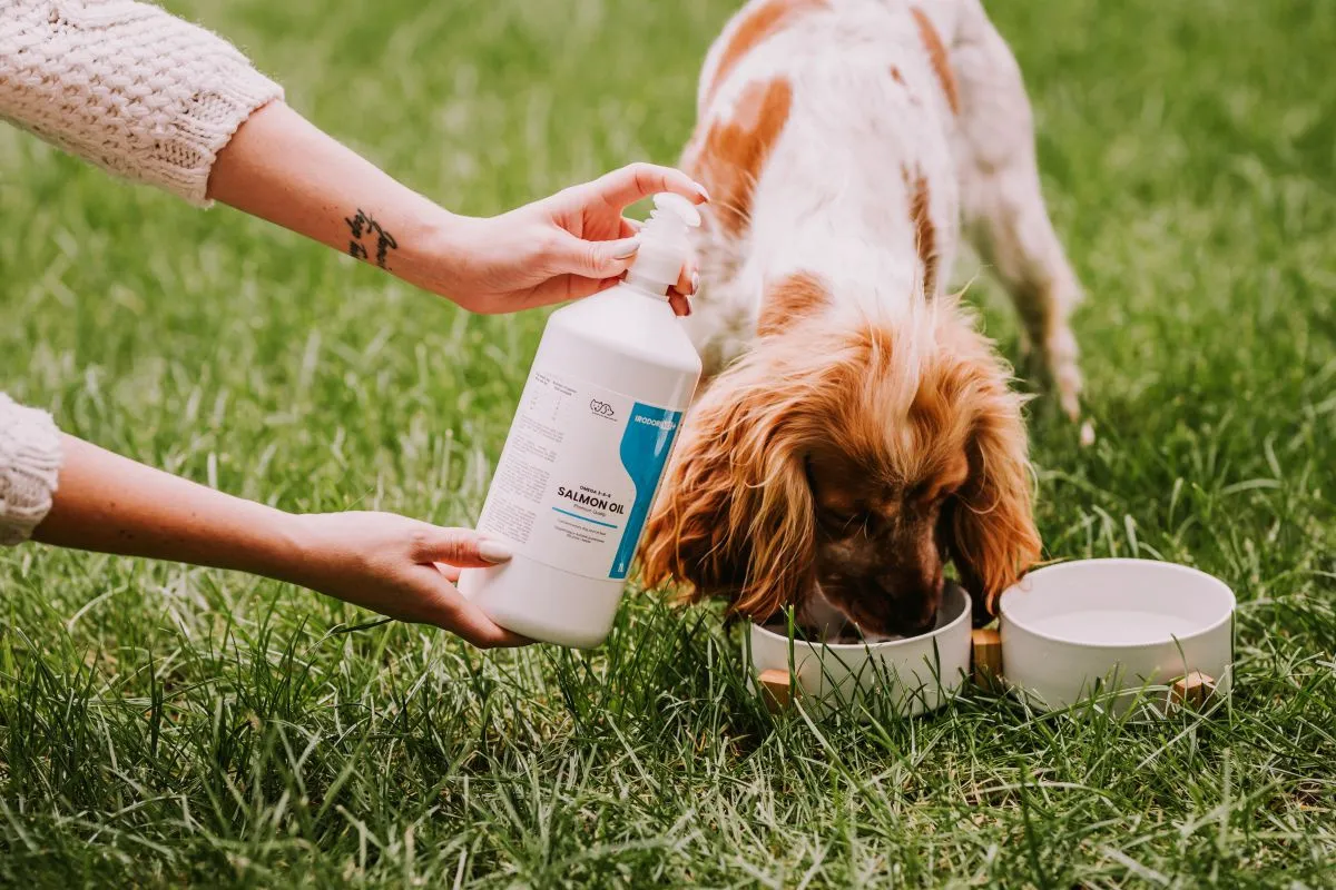 butelki oleju z łososia dla ps&oacute;w z etykietami