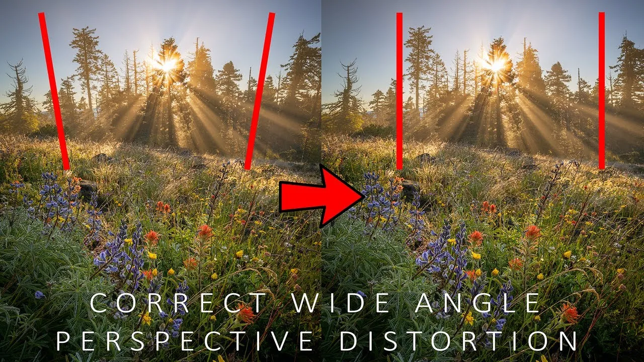 Photoshop Lens Correction perspective example