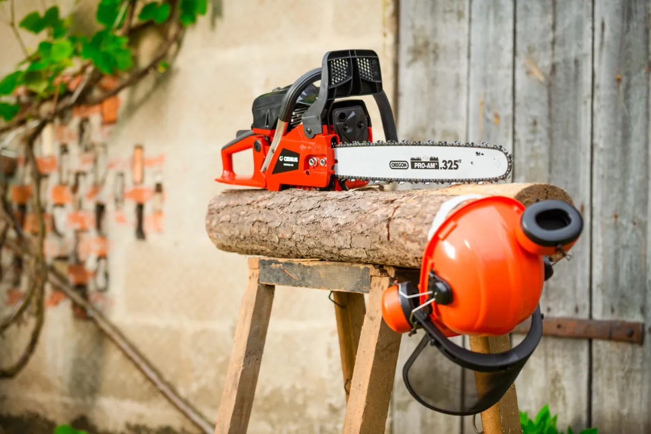 narzędzia do cięcia drzew owocowych