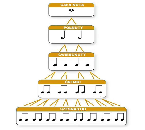 podział wartości rytmicznych nuty cała półnuta ćwierćnuta