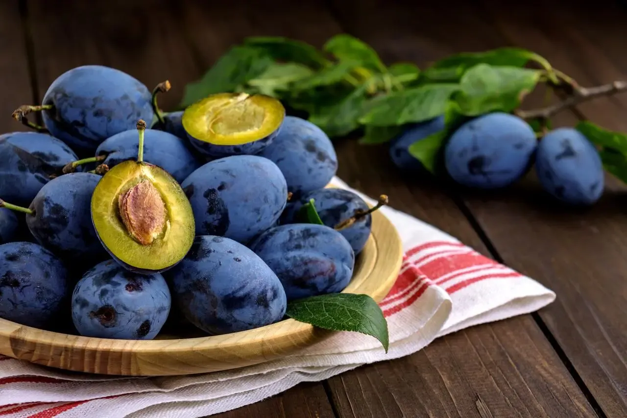 różne odmiany śliwek do ciasta