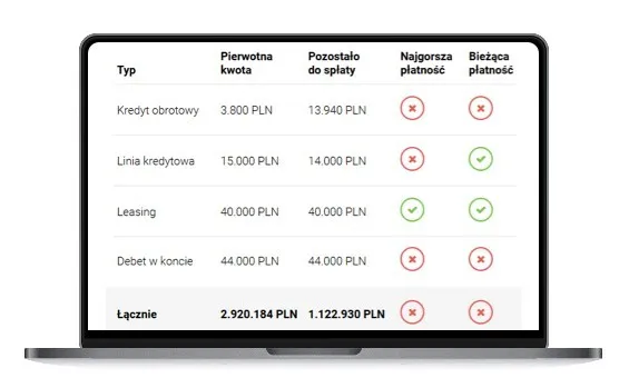 Wandoo BIK raportowanie danych