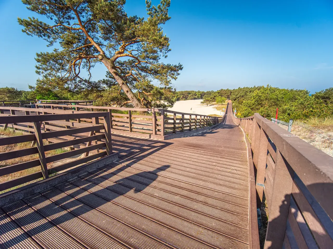 R&oacute;żne nawierzchnie trasy rowerowej R10 Polska