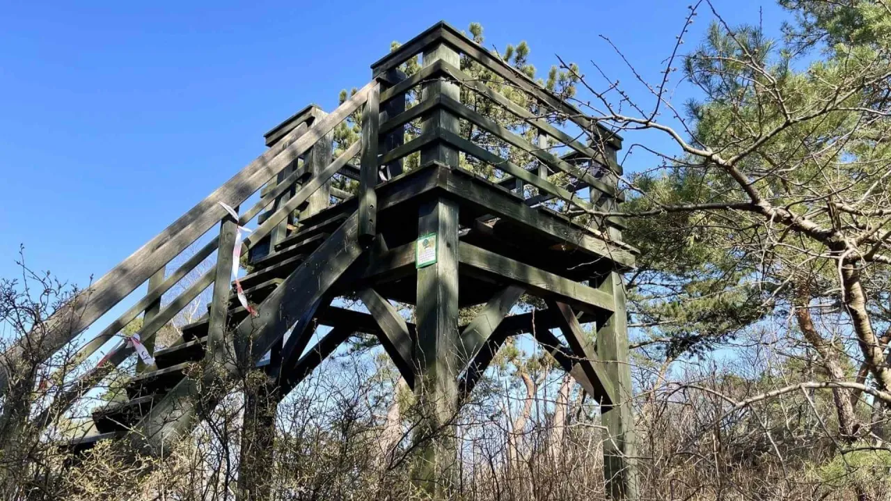 Wielbłądzi Garb Krynica Morska