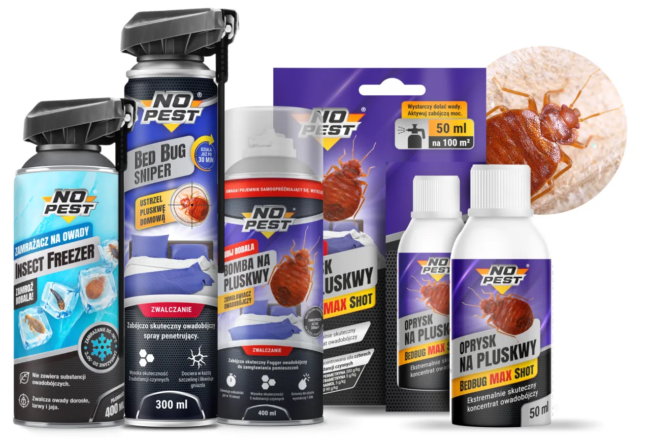 środki chemiczne na pluskwy, spray na pluskwy, bomba na pluskwy