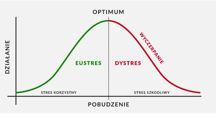 kortyzol a trening siłowy wpływ