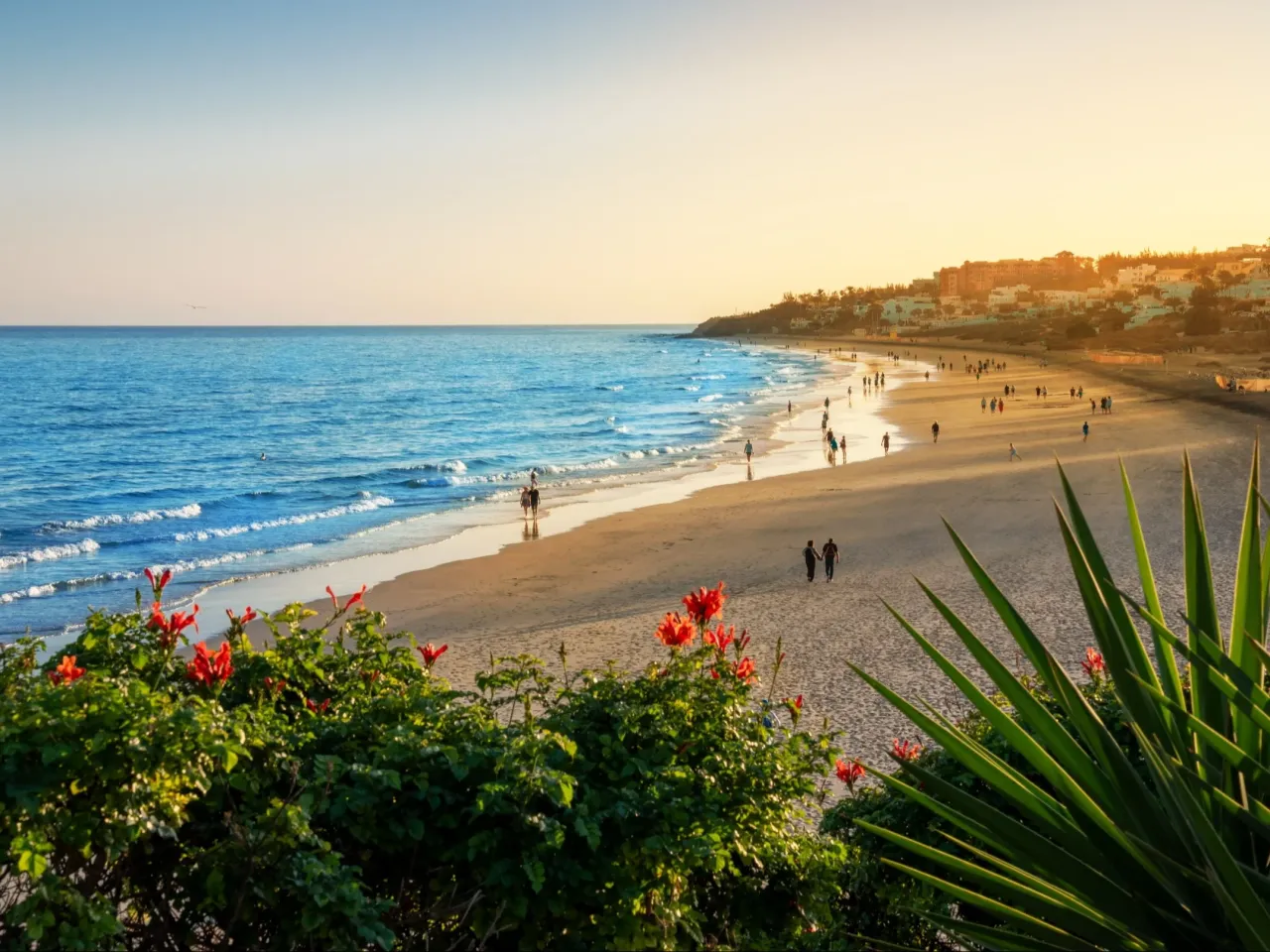 Słoneczna plaża grudzień