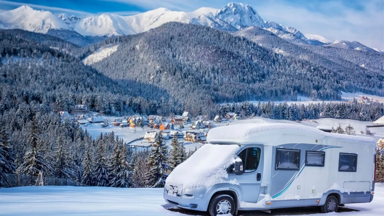 kamper na dziko zimą