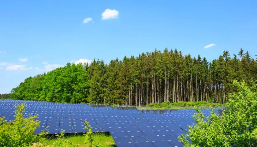 Zdjęcie Wpływ elektrowni słonecznych na środowisko przyrodnicze – korzyści i zagrożenia
