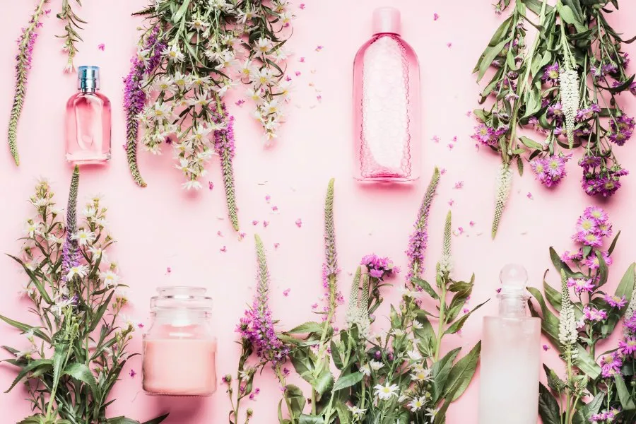 zioła na cerę grafika