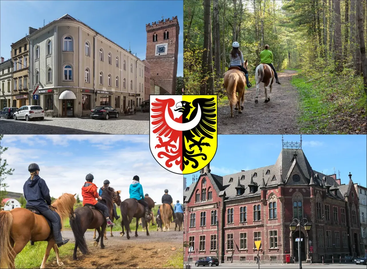 Cennik jazdy konnej Legnica porównanie